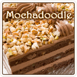 Mochadoodle Flavored Coffee